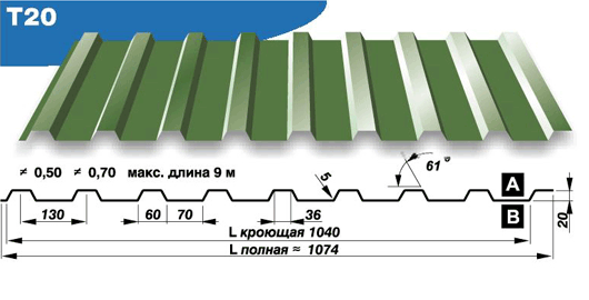 ППЛ Т20